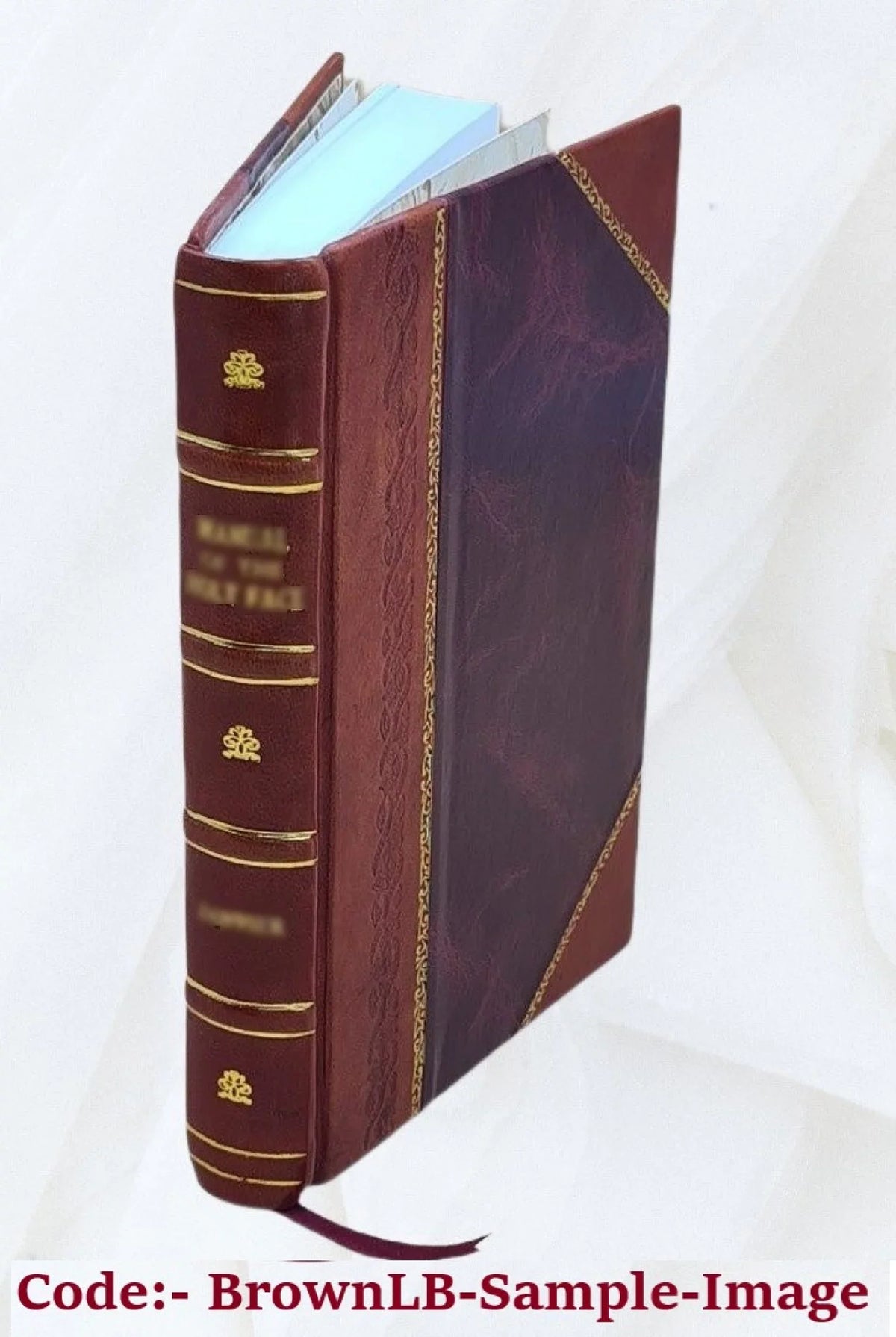 Illus. Bound] Maginel Johnnie [Leather Wright Kelly. Enright. 1920 by