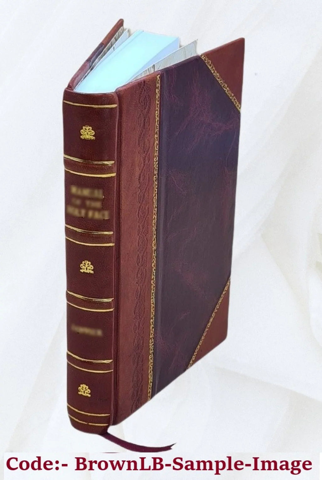 in famine the drought J. and 1899-1900, Bound] India great [Leather Rev. of during land; by In Scott. experiences observations E. 1904
