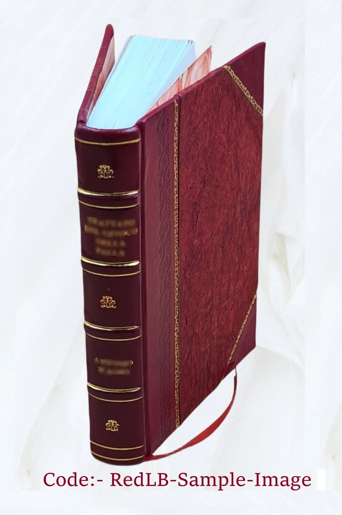 cook The [Leather mountain Bound] Rocky book 1903
